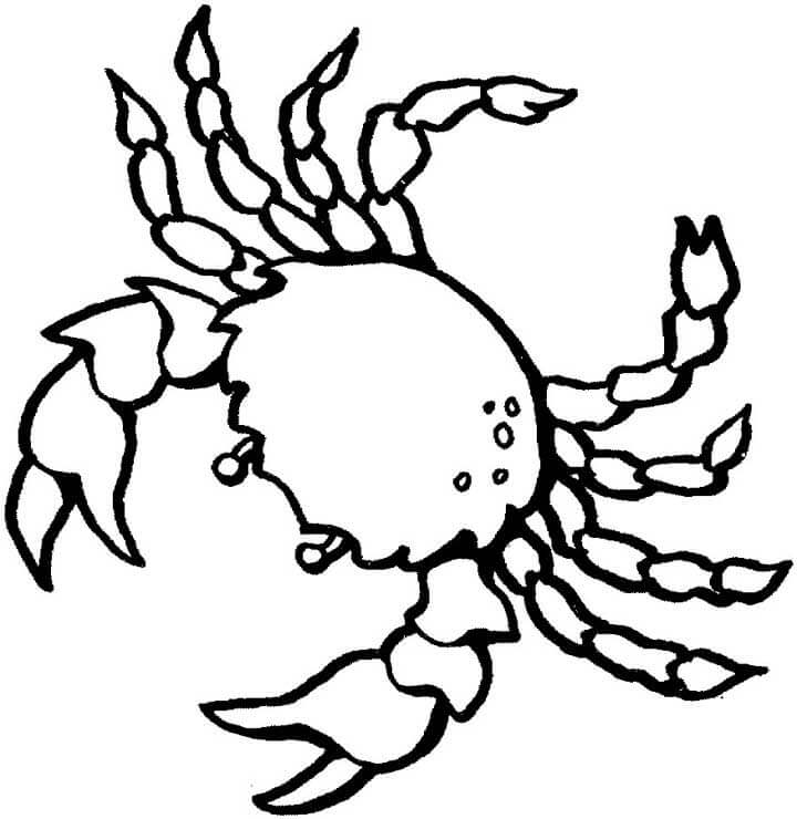 Dibujo de Cangrejo Dibujo Simple para Colorear