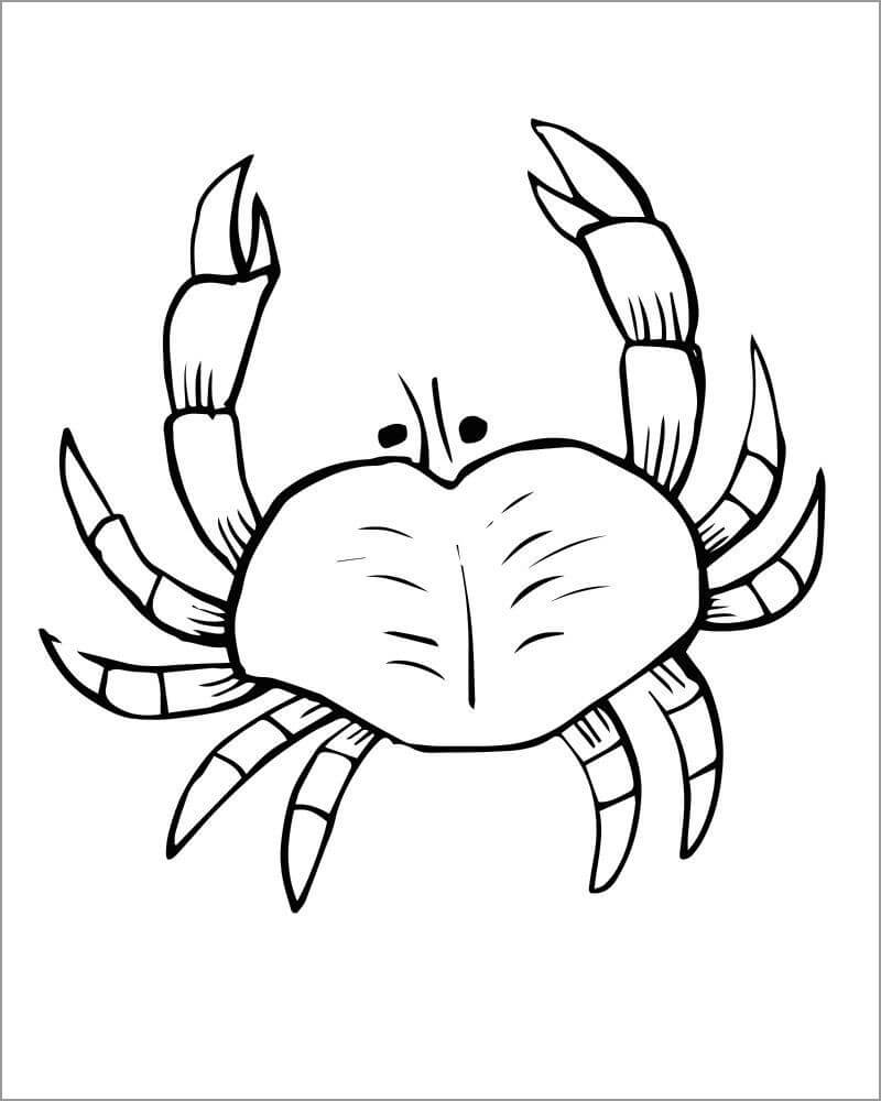 Dibujo de Cangrejo imágenes Gratis para Colorear