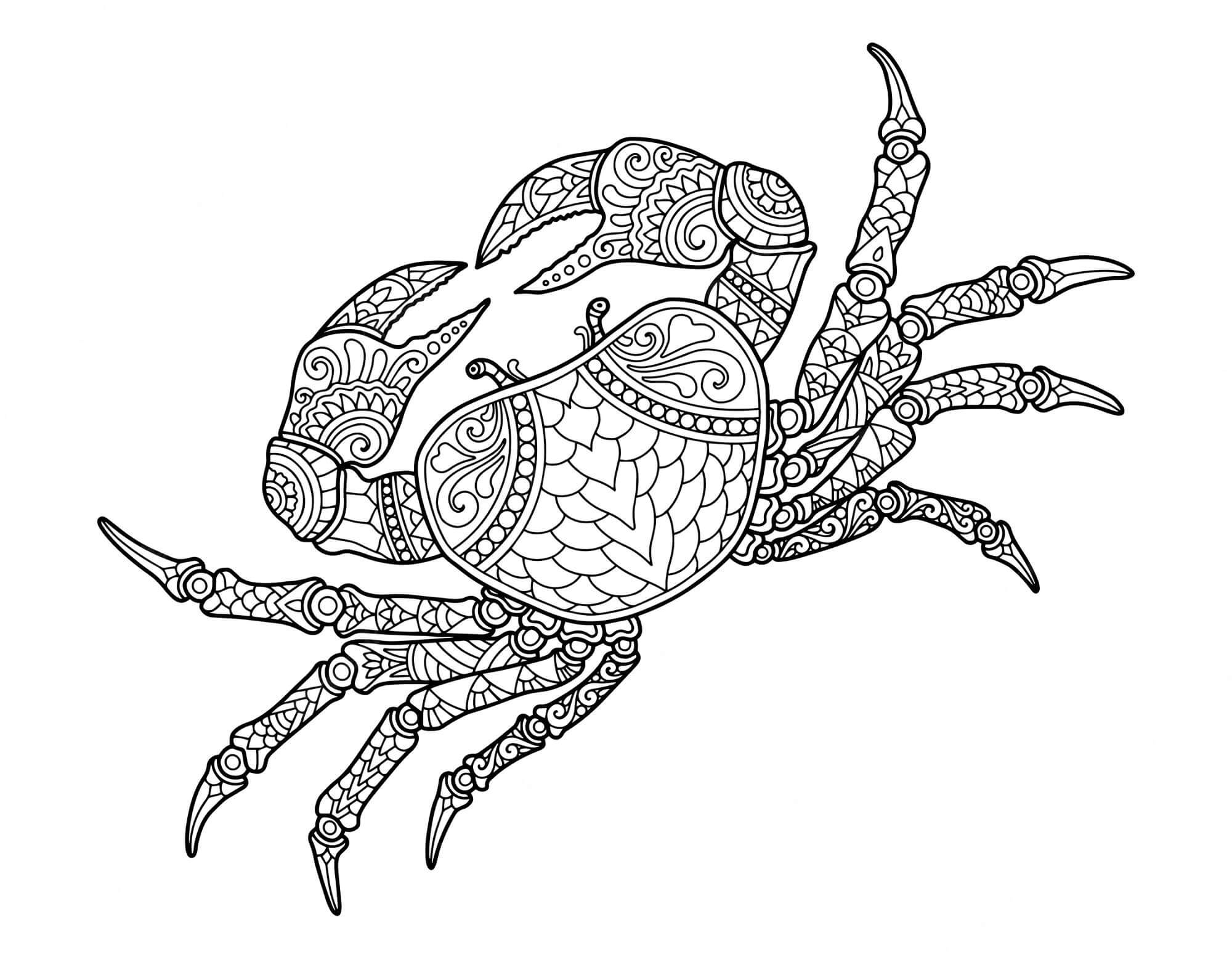 Dibujo de Cangrejo Mandala para Colorear