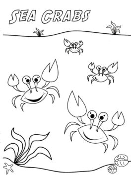 Dibujo de Cangrejos Marinos para Colorear