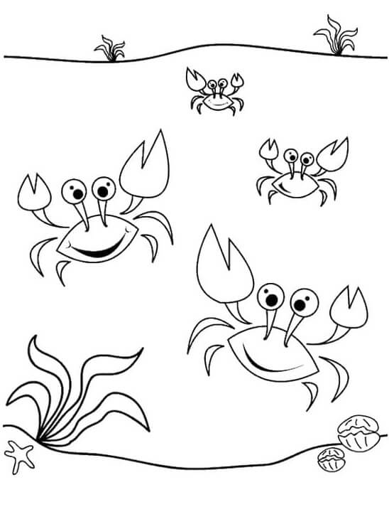 Dibujo de Cuatro Cangrejos Bailando para Colorear