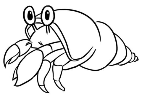 Dibujo de Pequeño Cangrejo Ermitano Lindo para Colorear