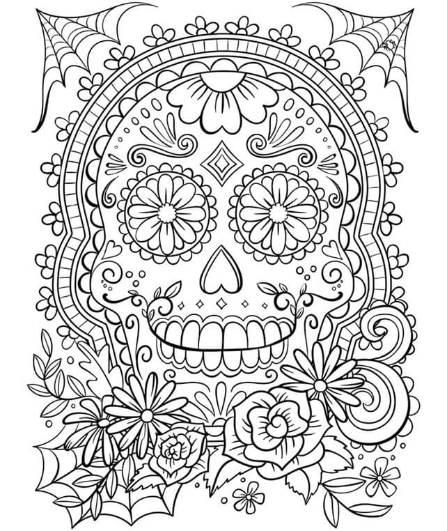 Dibujo de Crneo Adulto para Colorear
