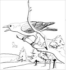 Dibujo de Bonito Cuervo para Colorear