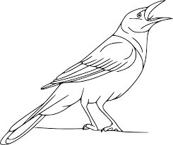 Dibujo de Cuervo Cantando para Colorear