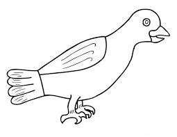 Dibujo de Cuervo Perfecto para Colorear