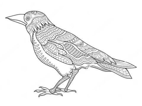 Dibujo de Cuervo Zentangle para Colorear
