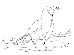 Dibujo de Cuervo de Pie para Colorear