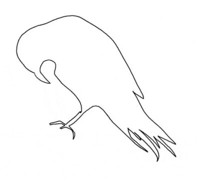 Dibujo de Esquema de Cuervo para Colorear