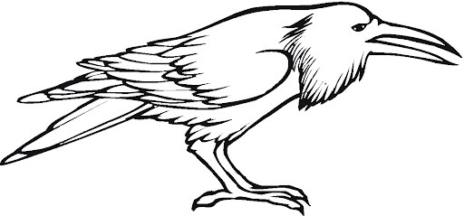 Dibujo de Gran Cuervo para Colorear
