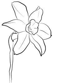 Dibujo de Adorable Narciso para Colorear