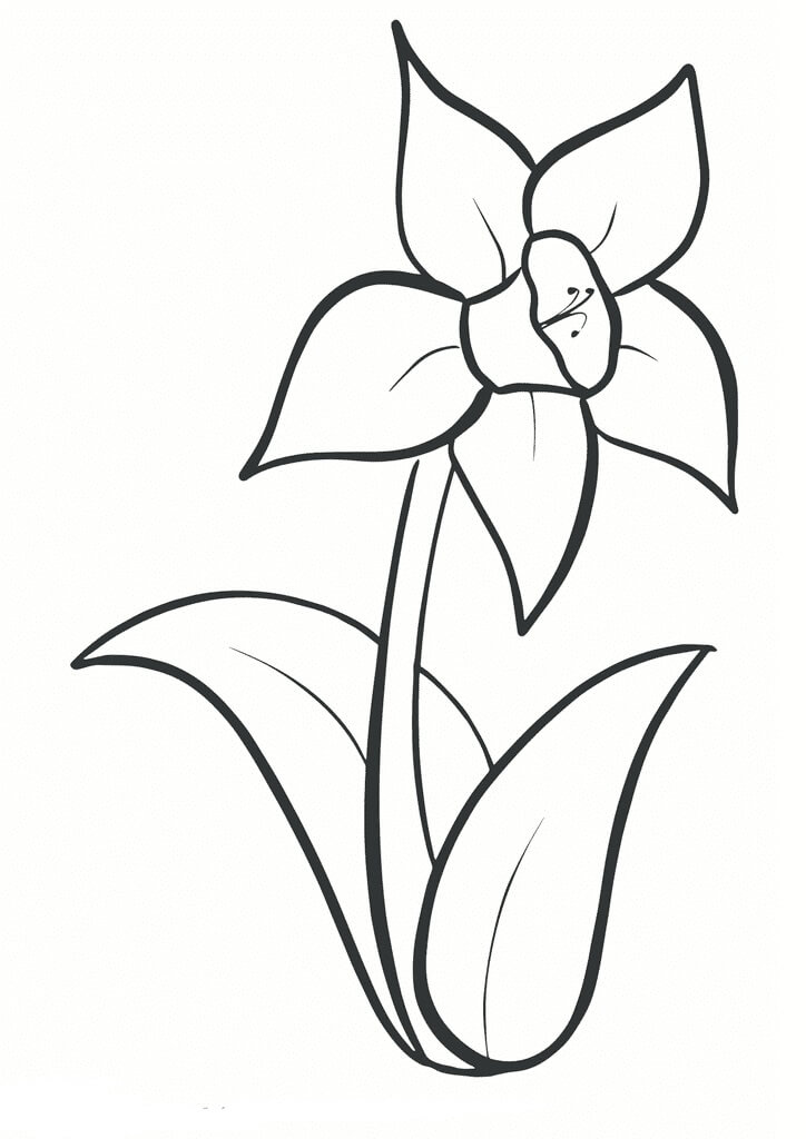 Dibujo de Bonito Narciso para Colorear