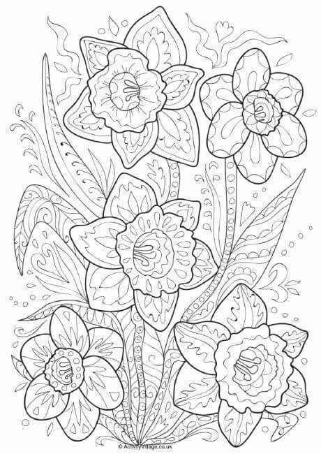 Dibujo de Doodle de Narciso para Colorear