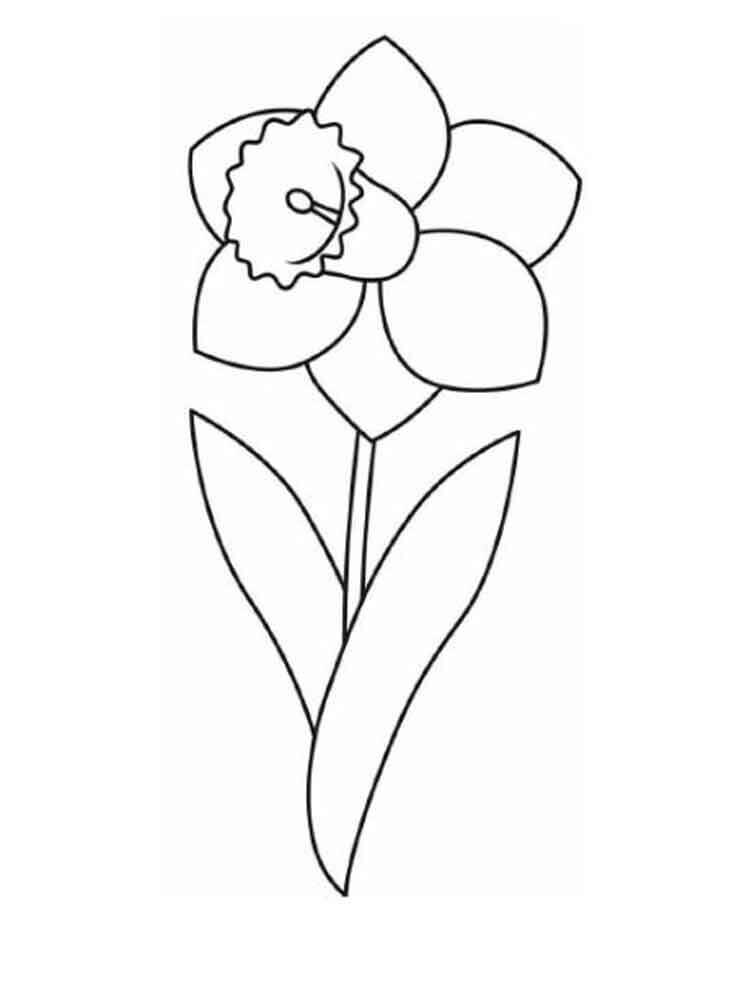 Dibujo de Grandes Narcisos para Colorear