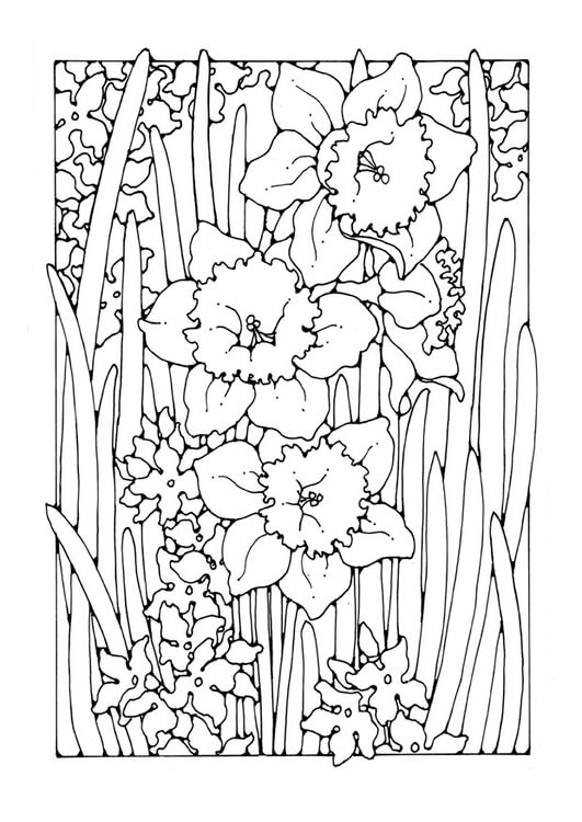 Dibujo de Narciso árbol para Colorear