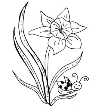 Dibujo de Narciso y Abeja para Colorear