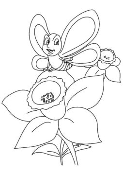 Dibujo de Narciso y Mariposa Abeja para Colorear