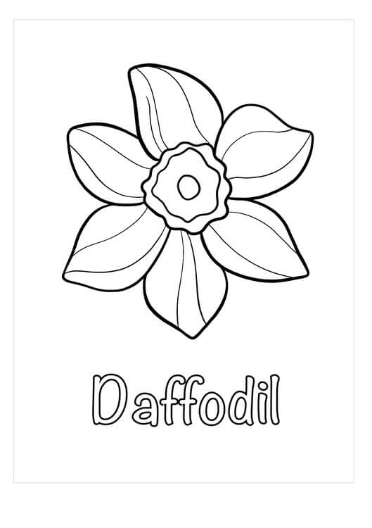 Dibujo de Narcisos Dulces para Colorear