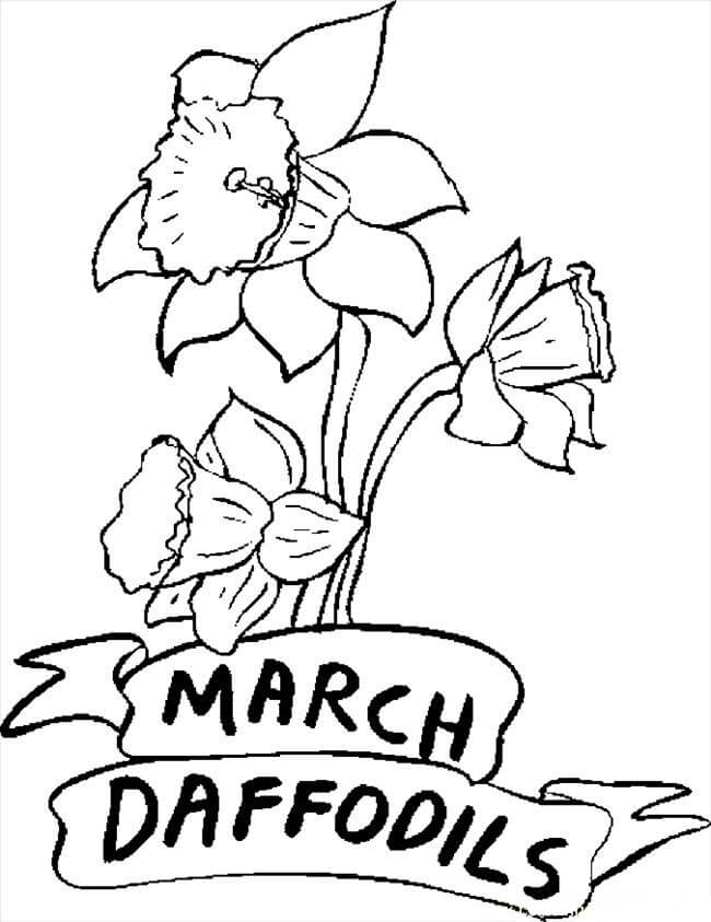 Dibujo de Narcisos de Marzo para Colorear