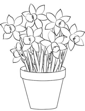 Dibujo de Narcisos en una Olla para Colorear