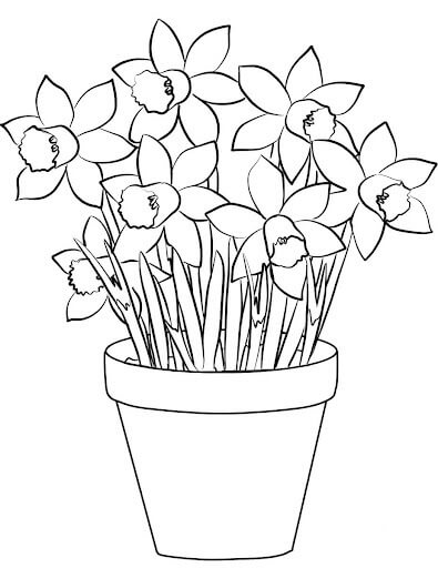 Dibujo de Narcisos en una Olla para Colorear