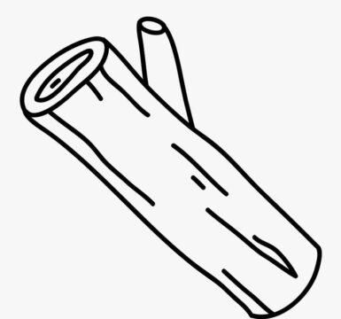 Dibujo de Diario para Colorear