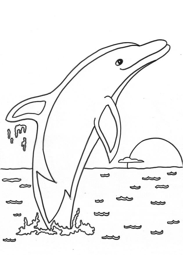 Dibujo de Buen delfín para Colorear