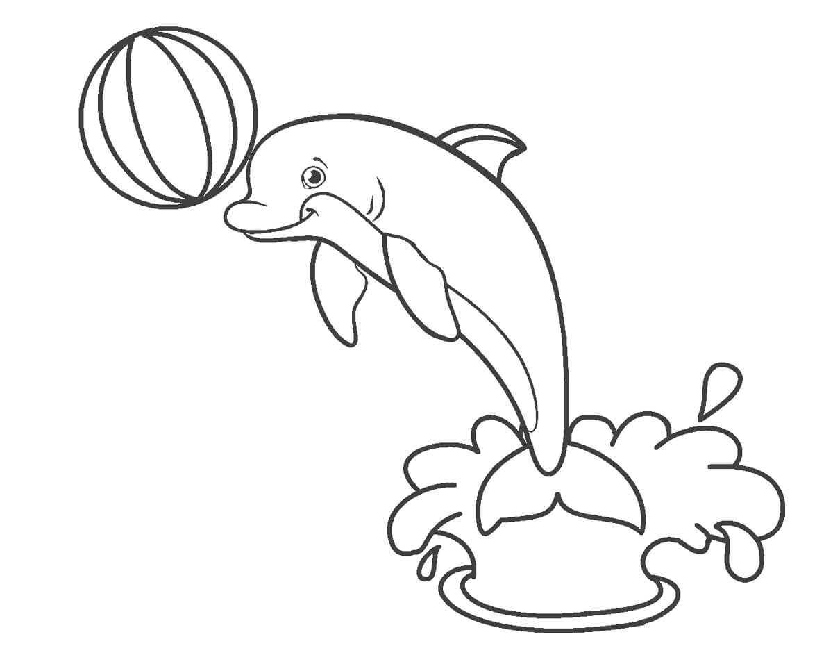 Dibujo de Delfín con Pelota para Colorear