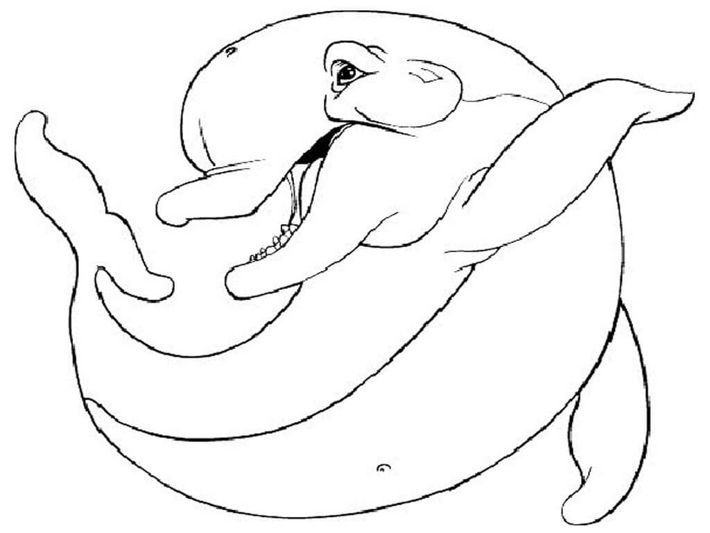 Dibujo de Delfín Gordo para Colorear