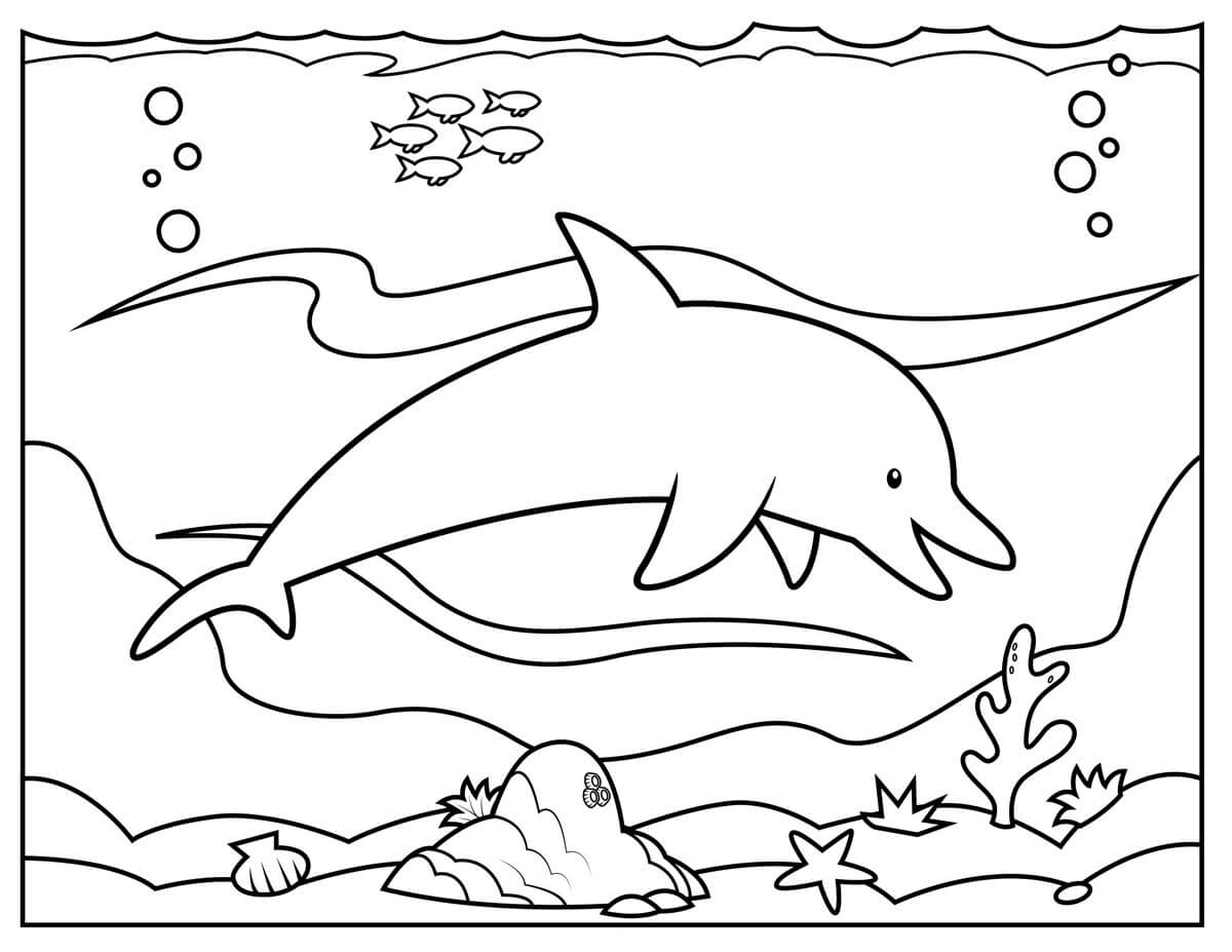 Dibujo de Delfín Simple para Colorear