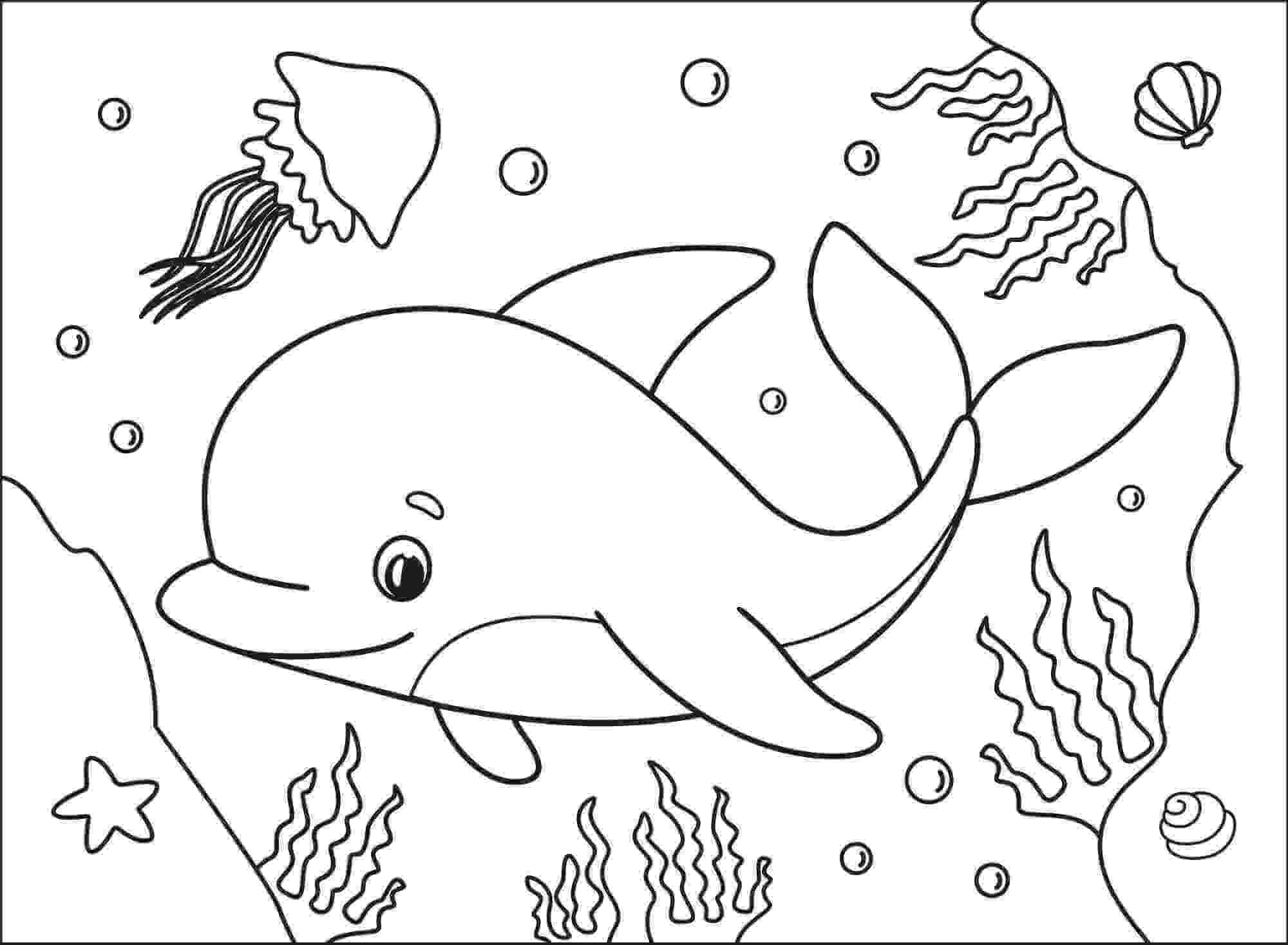 Dibujo de Delfín y Dos Medusas con Vieiras para Colorear