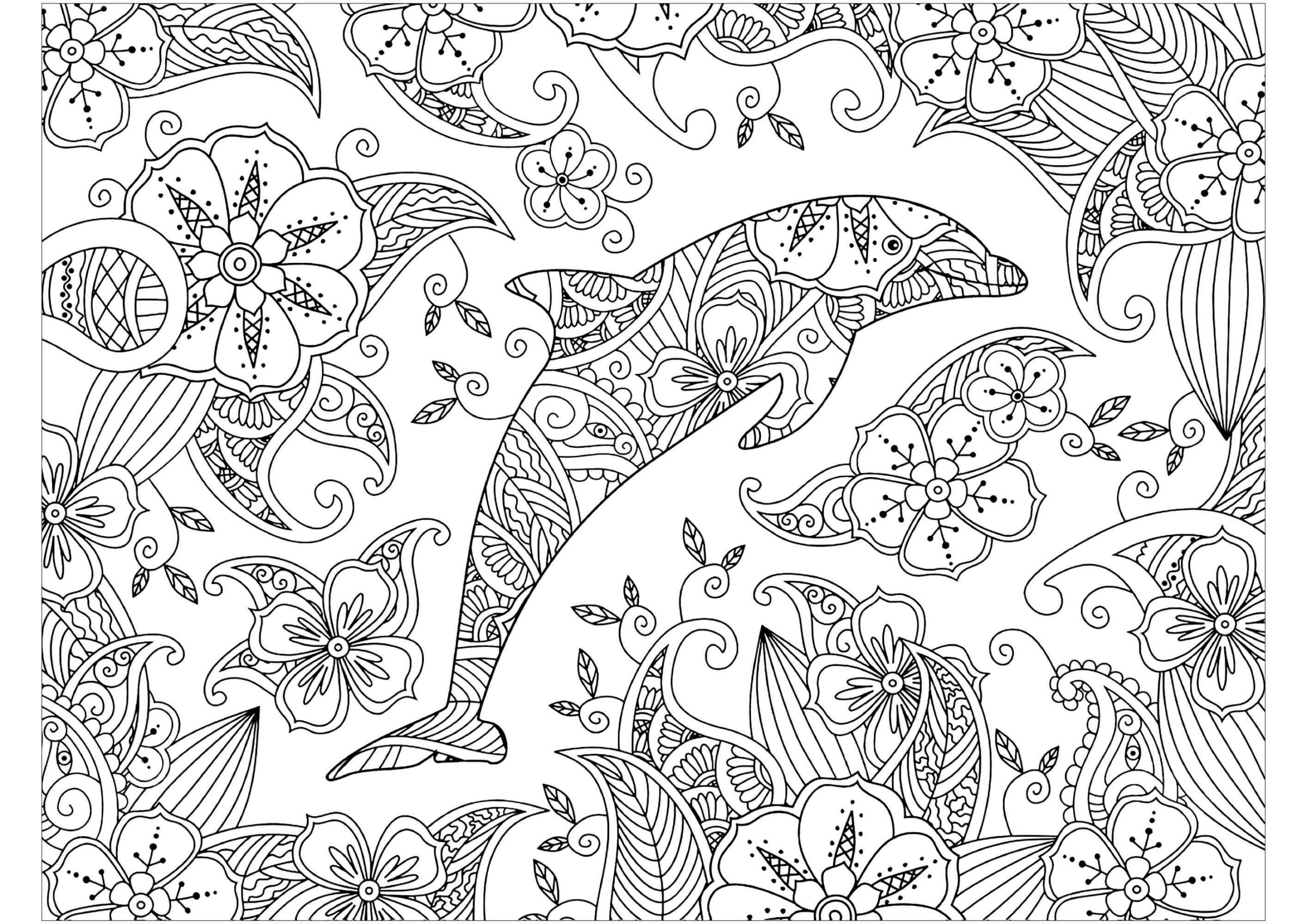 Dibujo de Delfín Zentangle para Colorear