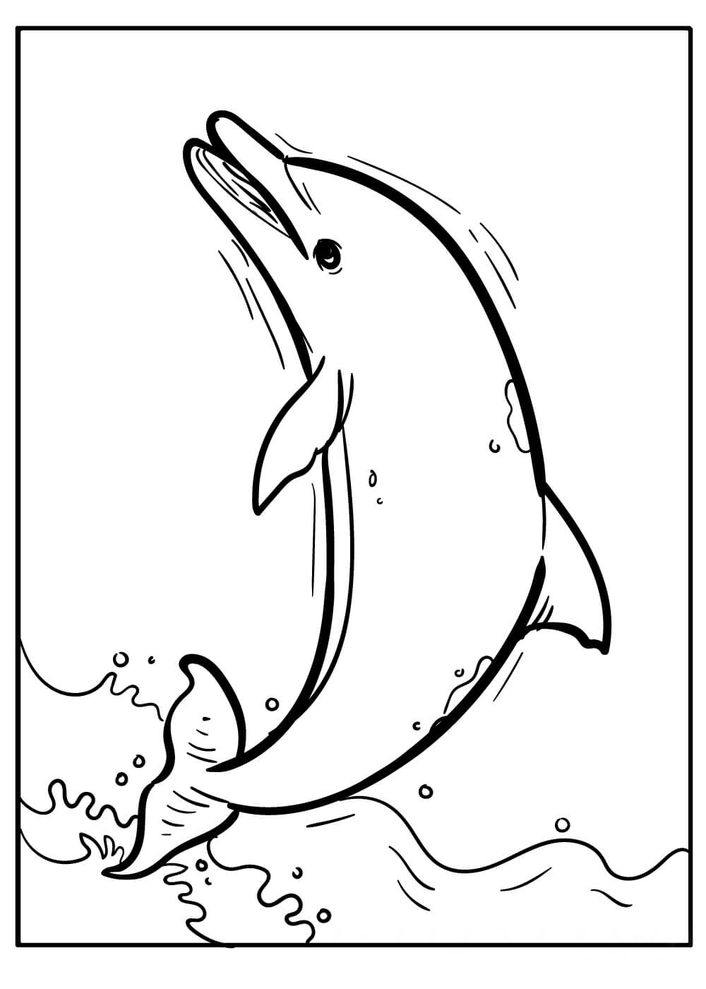 Dibujo de Delfín Salto para Colorear