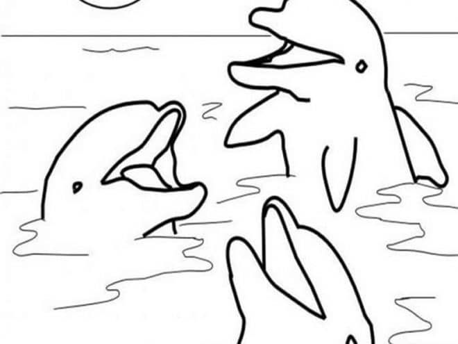 Dibujo de Felices Tres Delfines para Colorear