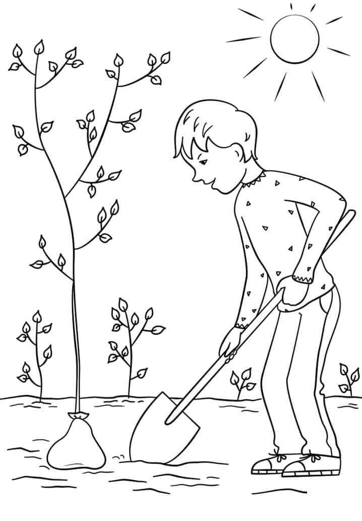Dibujo de Nio Plantar un Rbol para Colorear