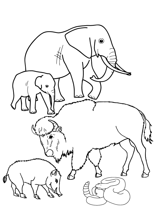 Dibujo de Imprimibles día Mundial de los Animales página para Colorear