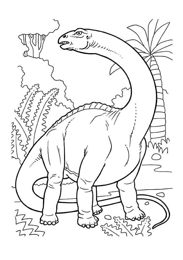Dibujo de Dino Catrak para Colorear