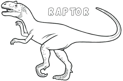 Dibujo de Dinosaurio Velociraptor para Colorear