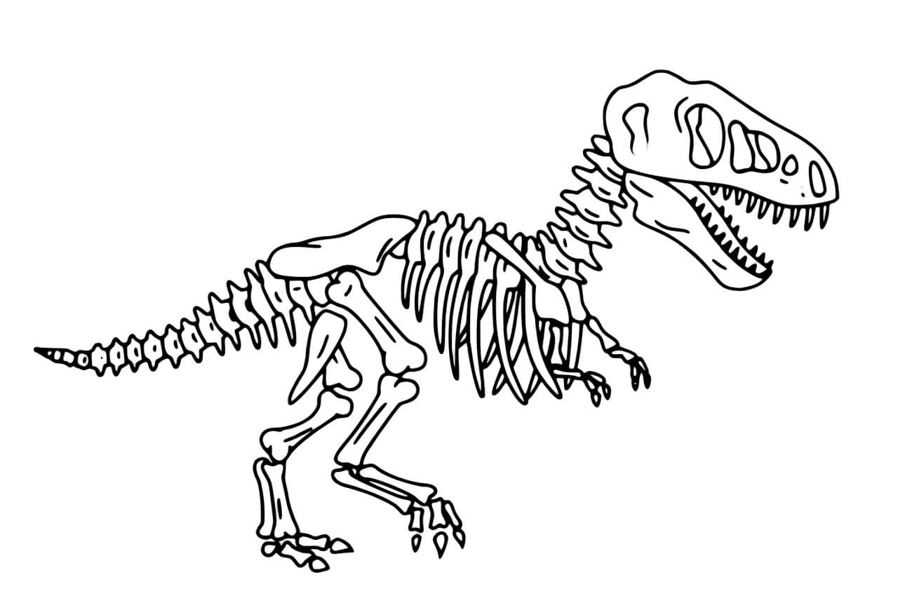 Dibujo de Hueso de Dinosaurio para Colorear