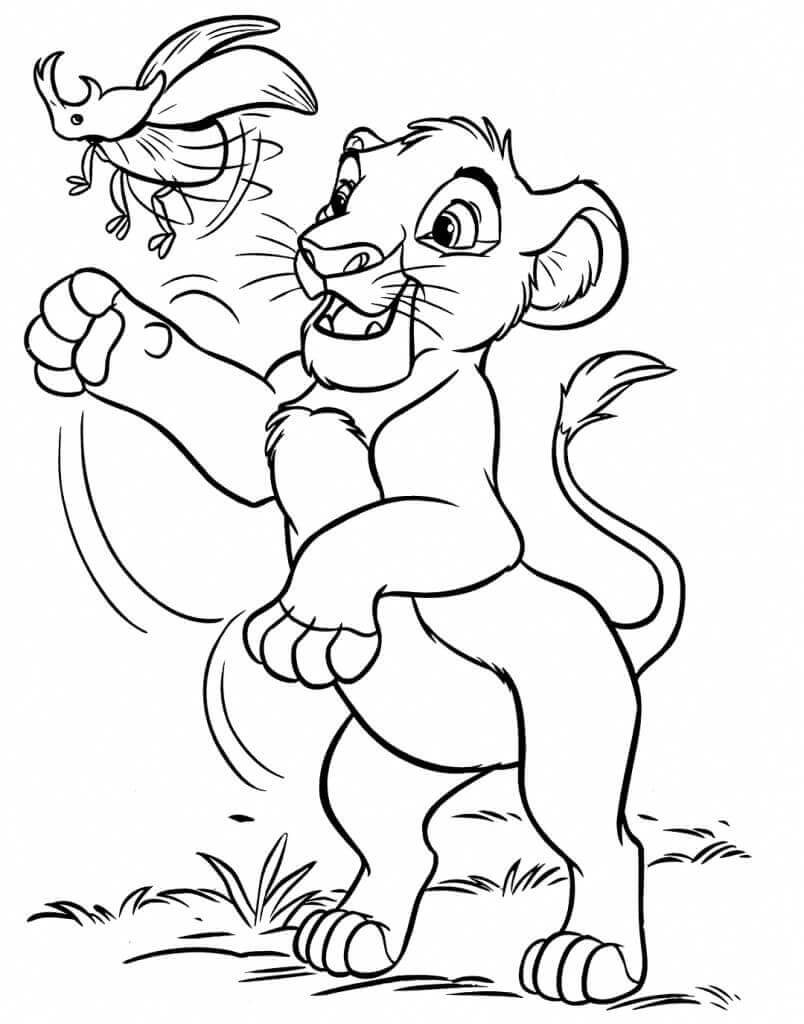Dibujo de Simba y el Escarabajo para Colorear