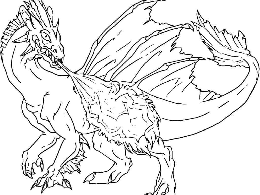 Dibujo de Buen dragón para Colorear