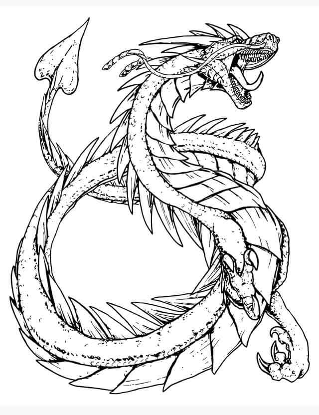 Dibujo de Dibujar a Mano dragón para Colorear