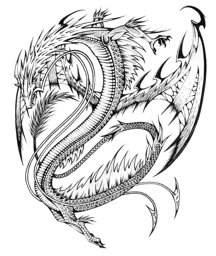 Dibujo de Dragón Normal para Colorear