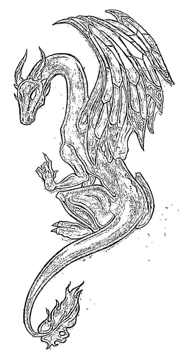 Dibujo de Dragón Volador Duro para Colorear