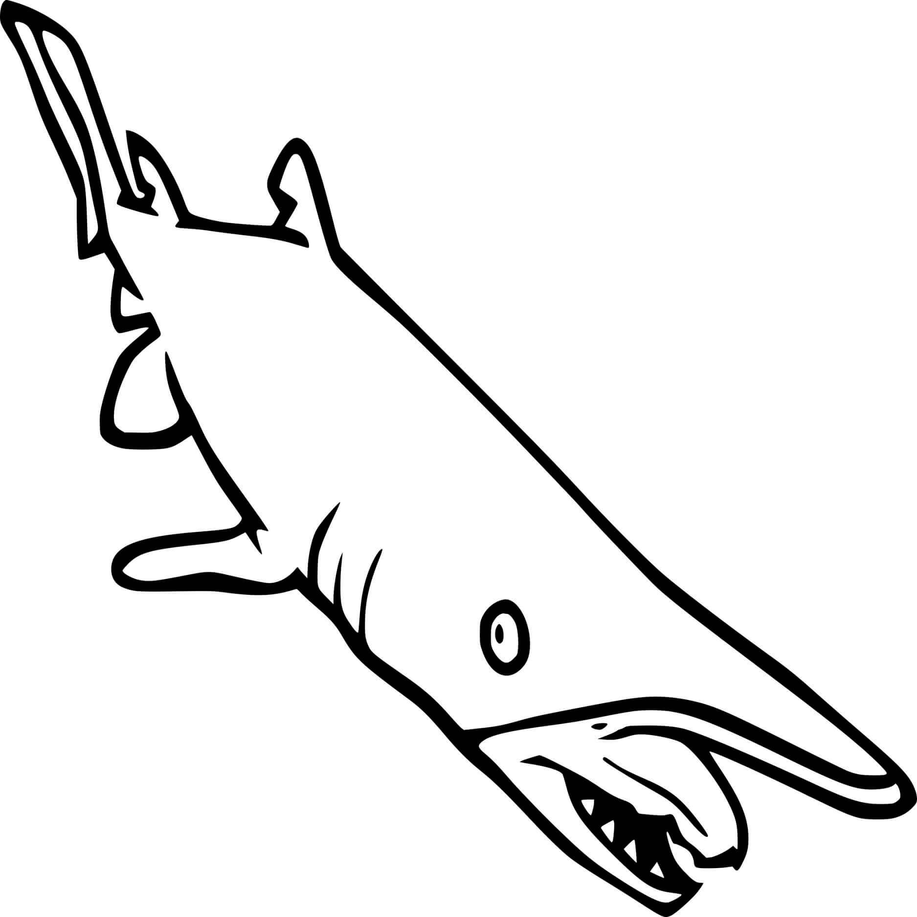 Dibujo de Gran tiburón Duende para Colorear
