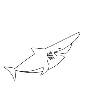 Dibujo de Tiburón Duende para Colorear