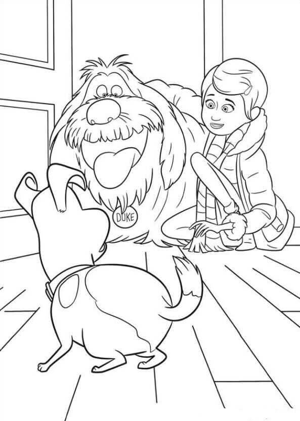 Dibujo de Duke Sorpresa con Max para Colorear