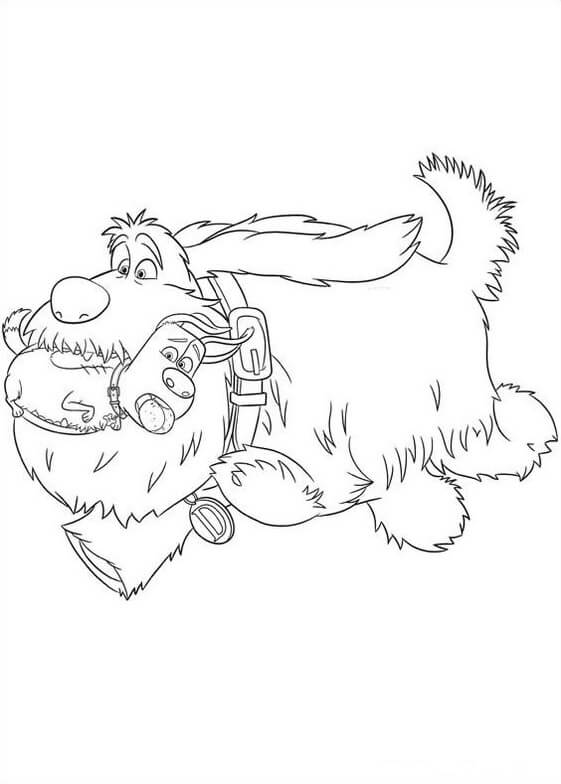 Dibujo de Duke con Max Corriendo para Colorear