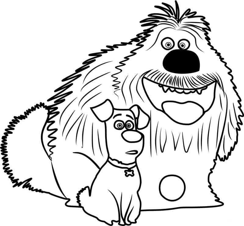 Dibujo de Duke y Max Sentados para Colorear