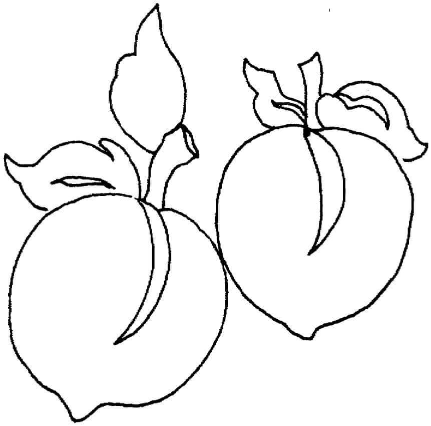 Dibujo de Dos Frutas de Duraznos para Colorear